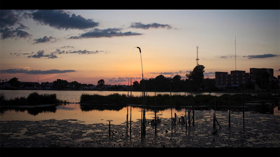 florida sunset
